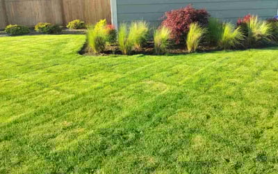 Photo of Dawn H.'s yard after getting lawn care in Enumclaw, WA
