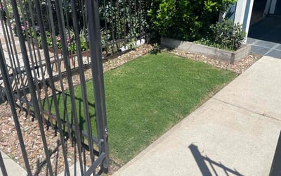 Photo of Maniya H.'s yard after getting lawn care in Wasco, CA