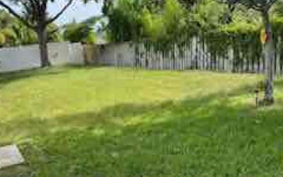 Photo of Tee D.'s yard after getting lawn care in Yazoo City, MS