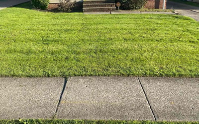 Photo of Sharay G.'s yard after getting lawn care in Maple Heights, OH