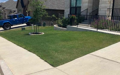 Photo of Rainer B.'s yard after getting lawn care in Atascosa, TX
