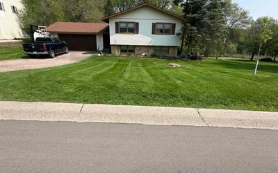 Photo of Daphnee S.'s yard after getting lawn care in Georgetown, KY