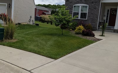Photo of Kris G.'s yard after getting lawn care in Tallmadge, OH