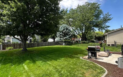 Photo of Charles L.'s yard after getting lawn care in Elkhorn, NE