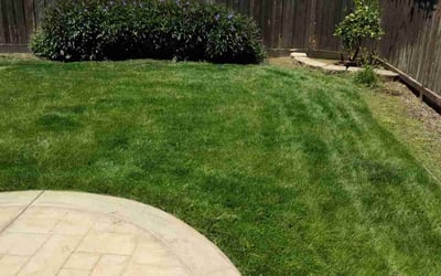 Photo of Mark S.'s yard after getting lawn care in Howell, NJ