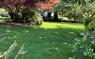 Photo of Robin H.'s yard after getting lawn care in Xenia, OH