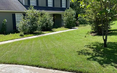 Photo of Iveren L.'s yard after getting lawn care in Roswell, GA