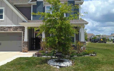 Photo of Cory D.'s yard after getting lawn care in Great Falls, SC
