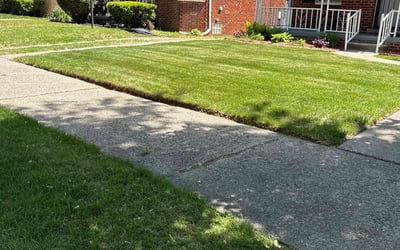 Photo of Alex S.'s yard after getting lawn care in Loudon, TN