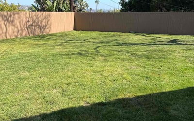 Photo of Christy D.'s yard after getting lawn care in San Diego, CA