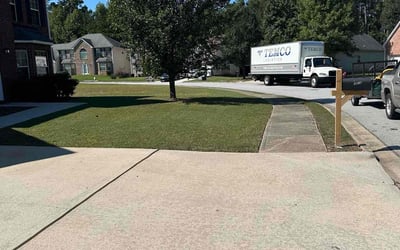 Photo of Susan K.'s yard after getting lawn care in Del Mar, CA