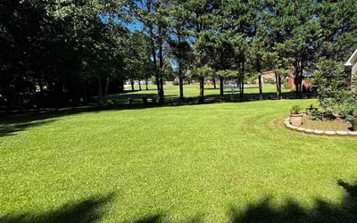 Photo of Marshella W.'s yard after getting lawn care in Barnesville, GA