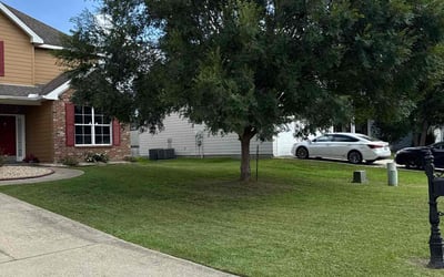 Photo of Toni D.'s yard after getting lawn care in Irwin, PA