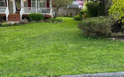 Photo of Wook N.'s yard after getting lawn care in Sykesville, MD