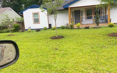Photo of Branden B.'s yard after getting lawn care in Bellview, FL