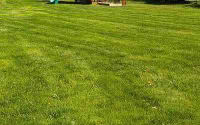 Photo of Phyllis F.'s yard after getting lawn care in Hellertown, PA