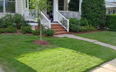 Photo of Shawn P.'s yard after getting lawn care in DeSoto, TX