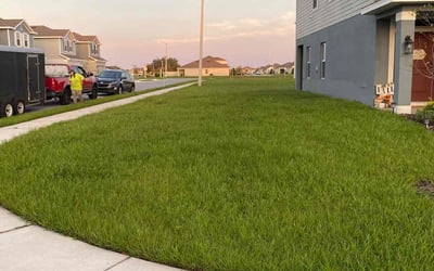 Photo of Bill M.'s yard after getting lawn care in Fredericksburg, VA