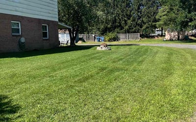 Photo of Odiah N.'s yard after getting lawn care in Hatfield, PA