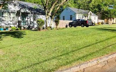 Photo of Art R.'s yard after getting lawn care in Decatur, GA