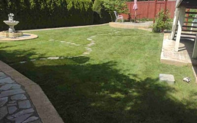 Photo of Randall M.'s yard after getting lawn care in Mukilteo, WA