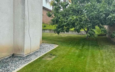 Photo of Leah J.'s yard after getting lawn care in Colton, CA