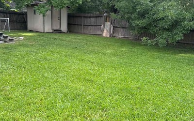 Photo of Nathaniel G.'s yard after getting lawn care in Colorado Springs, CO