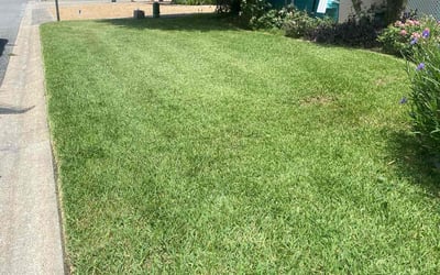 Photo of Jon C.'s yard after getting lawn care in Hempstead, NY