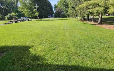 Photo of Steve F.'s yard after getting lawn care in Bellevue, WA