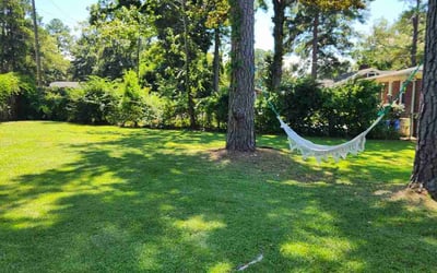 Photo of Steve L.'s yard after getting lawn care in Columbia, SC