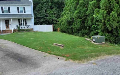 Photo of Adam F.'s yard after getting lawn care in Hampton, VA