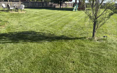 Photo of Dillon J.'s yard after getting lawn care in Lawson, MO