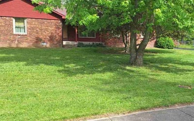 Photo of Sandra C.'s yard after getting lawn care in Orlando, FL