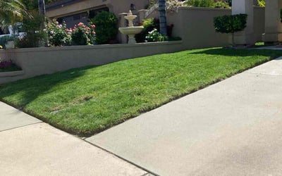 Photo of Davin S.'s yard after getting lawn care in Murrieta, CA