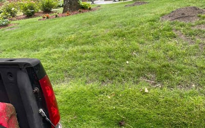 Photo of Jared H.'s yard after getting lawn care in Syosset, NY