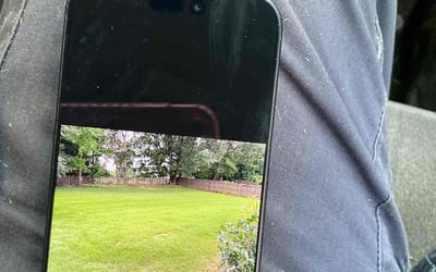 Photo of Ricky T.'s yard after getting lawn care in Washington, DC