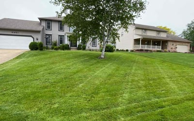 Photo of Richard V.'s yard after getting lawn care in Alliance, OH