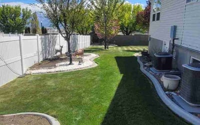 Photo of Amy C.'s yard after getting lawn care in Riverton, UT