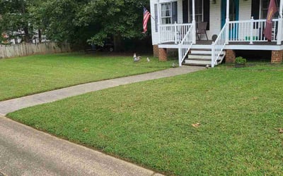 Photo of Brian S.'s yard after getting lawn care in Richmond, VA