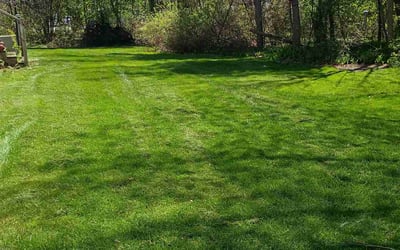 Photo of Kylie S.'s yard after getting lawn care in Cornelius, NC