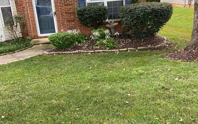 Photo of Cleotha E.'s yard after getting lawn care in Wickliffe, OH