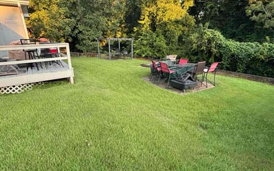 Photo of Donna A.'s yard after getting lawn care in Temple, GA