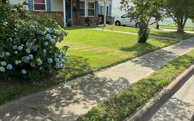 Photo of Meghan H.'s yard after getting lawn care in Harrisonburg, VA
