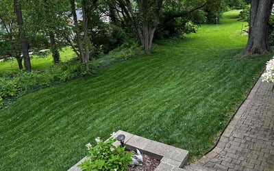 Photo of Donna G.'s yard after getting lawn care in Ballwin, MO