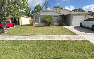 Photo of Manuara C.'s yard after getting lawn care in Brandon, FL
