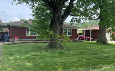 Photo of Jennifer M.'s yard after getting lawn care in Henderson, KY