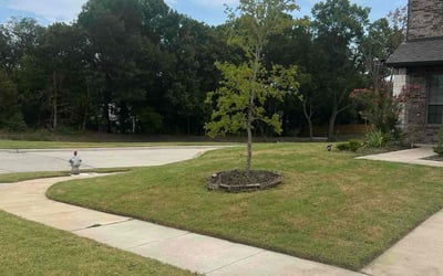 Photo of Al W.'s yard after getting lawn care in Wylie, TX