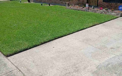 Photo of Allyson C.'s yard after getting lawn care in Baton Rouge, LA