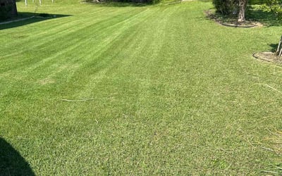 Photo of Tom S.'s yard after getting lawn care in Smithfield, NC