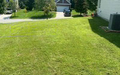 Photo of Chelsea P.'s yard after getting lawn care in Bear, DE